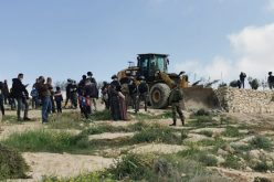 The Israeli Occupation Demolish Four Houses in Al-Mufqara and Khallet Ad-Dabe’a in Masafer Yatta/ South Hebron