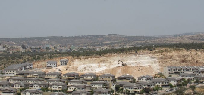 The Israeli Occupation Authorities Ravage Vast areas of Mas-ha land/ Salfit Governorate