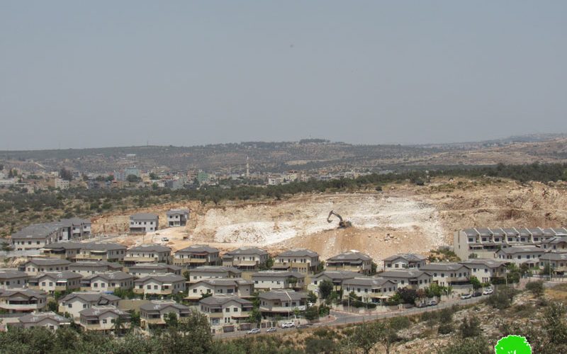 The Israeli Occupation Authorities Ravage Vast areas of Mas-ha land/ Salfit Governorate