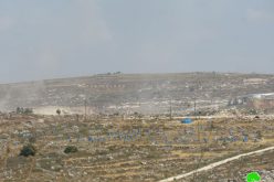 Ravages in Yasuf village to expand Kfar Tapuah colony / Salfit governorate