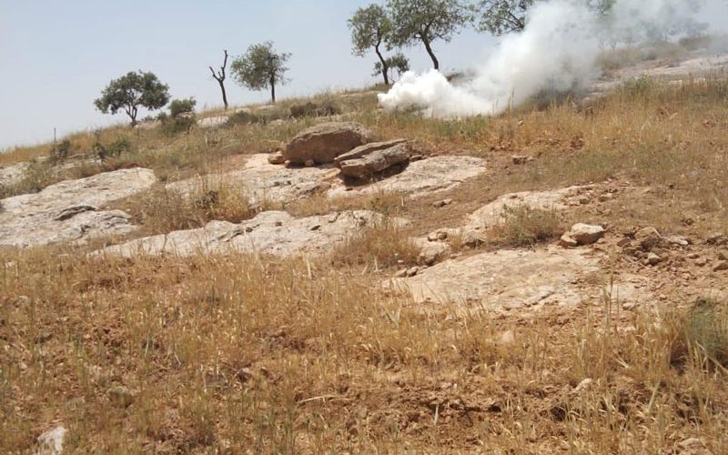 Colonists Are Carrying Out Attacks in At-Tawani and Al-Mufqara villages in Masafer Yatta / South Hebron