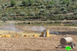 جيش الاحتلال الإسرائيلي يتعمد إحراق حقول القمح في قرية اماتين بمحافظة قلقيلية