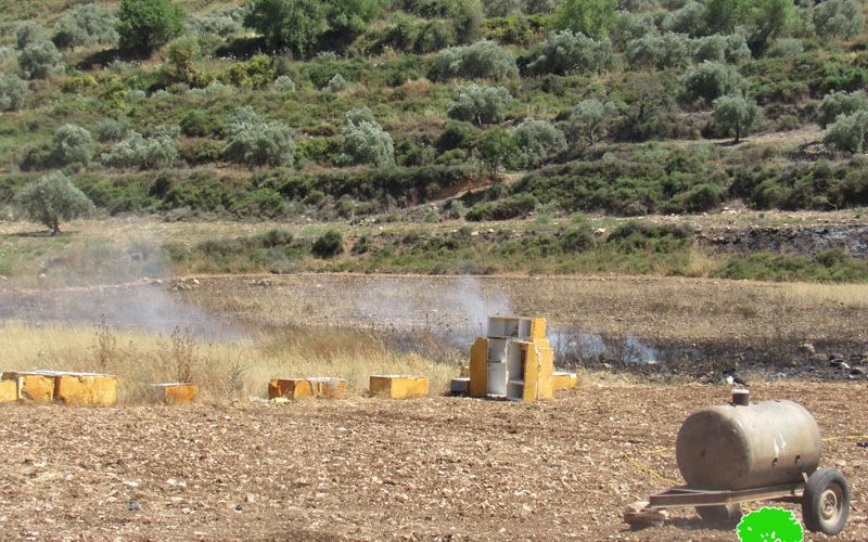 The Occupation Forces Set flames to Wheat Fields in Immatain village / Qalqilya Governorate