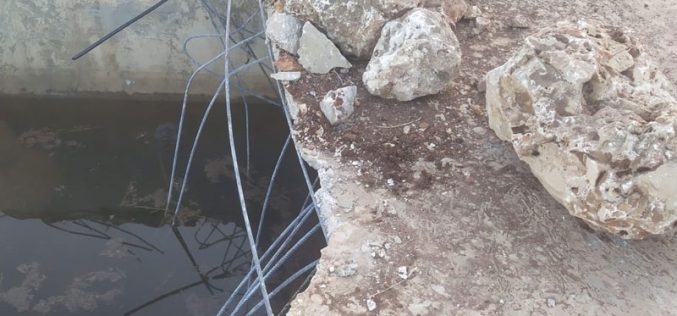 اقتلاع 95 غرسة زيتون وهدم بئراً للمياه وسناسل حجرية في قرية كفر الديك / محافظة سلفيت