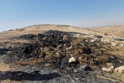 Colonists set fire to Bales of Hay east Yatta / Hebron Governorate