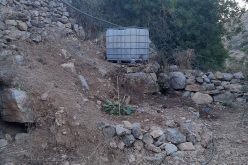 Cutting olive Saplings and Destroying Agricultural Properties in Wad Qana / Salfit Governorate