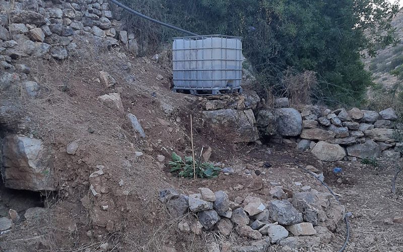 Cutting olive Saplings and Destroying Agricultural Properties in Wad Qana / Salfit Governorate
