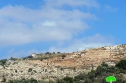 New Outpost to be Established on Deir Istiya town lands/ Salfit Governorate