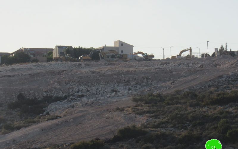 Tzufim Colonists Ravage Lands in Jayyous village / Qalqilya Governorate