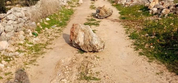Ravaging Vast Areas of Postures in Khallet Hassan/ Salfit Governorate