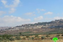 The Israeli Occupation Expands Shiloh Colony on Ramallah and Nablus lands