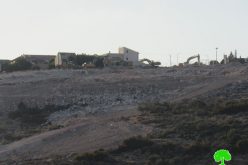 Tzufim Colonists Ravage Lands in Jayyous village / Qalqilya Governorate