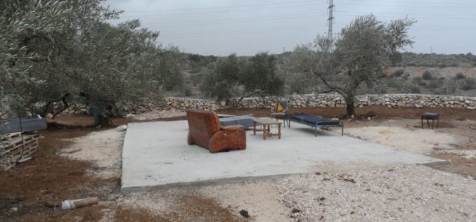 الاحتلال يخطر بوقف العمل في قطعة أرض تم تأهيلها حديثاً في بلدة عزون/ محافظة قلقيلية