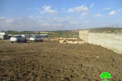 إخطار بوقف العمل والبناء في منشأة تجارية في مدينة قلقيلية