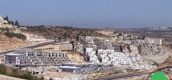New Expansions in Elkana colony – Mas-ha / Salfit Governorate
