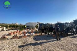 Demolition of an Agricultural structure in Taqu / Bethlehem Governorate