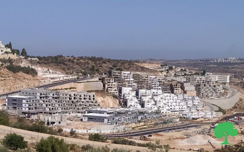 New Expansions in Elkana colony – Mas-ha / Salfit Governorate