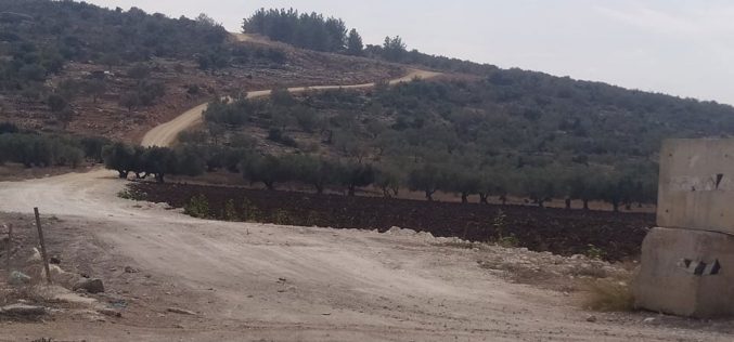Israeli Colonists Take Over an Agricultural Road in Ya’bad town / Jenin Governorate