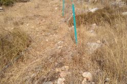 Al-Mattan Colonists installed a fence around a 2 dunums plot – Kafar Thulth / Qalqilya Governorate