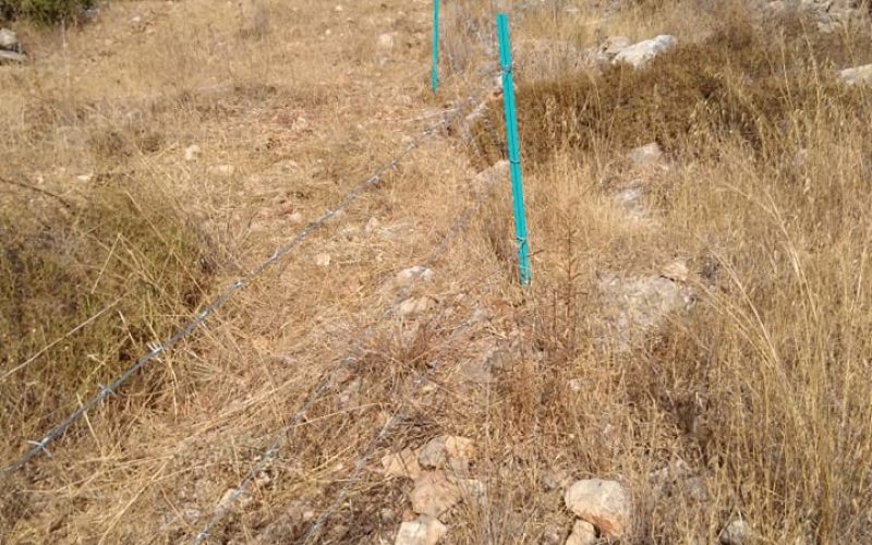 Al-Mattan Colonists installed a fence around a 2 dunums plot – Kafar Thulth / Qalqilya Governorate