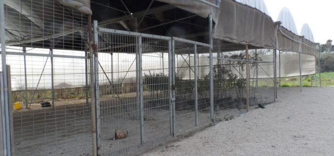     إخطارات بهدم منشأة زراعية على المدخل الشرقي لمدينة قلقيلية