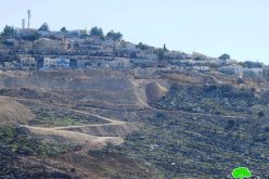 Negohot Illegal Colonists attack farmers and their farmlands in Fuqiqis village / South Hebron