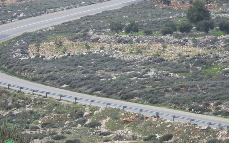 اخطار بإخلاء أرض زراعية في قرية الجبعة بمحافظة بيت لحم