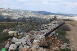 Demolition of agricultural land and retaining walls owned by the Asila family in the town of Battir, Bethlehem Governorate