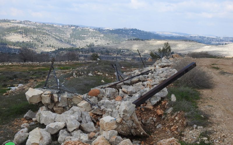 Demolition of agricultural land and retaining walls owned by the Asila family in the town of Battir, Bethlehem Governorate