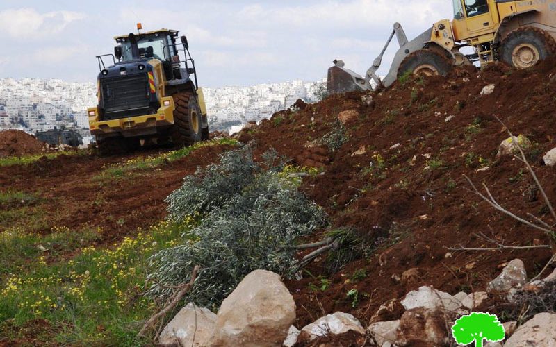 The Occupation Confiscated Containers and Ravaged a Plot in Khirbet Qilqis / South Hebron
