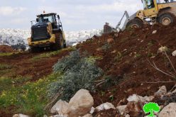 الاحتلال يصادر حاويات معدنية ويجرف قطعة أرض في خربة قلقلس جنوب الخليل