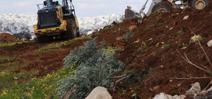 الاحتلال يصادر حاويات معدنية ويجرف قطعة أرض في خربة قلقلس جنوب الخليل