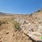 سلطات الاحتلال تهدم جدران استنادية في قطعة أرض بقرية دوما شرق نابلس