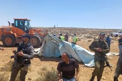 In a dangerous precedent, Settlers Demolish an Agricultural Service Room in Masafer Yata-Hebron governorate