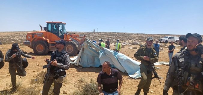 In a dangerous precedent, Settlers Demolish an Agricultural Service Room in Masafer Yata-Hebron governorate
