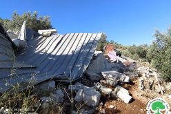 Notification of demolition and removal of the residence of the Salamin family in Khirbet Al-Simiya, west of As-Samou’ / Hebron Governorate