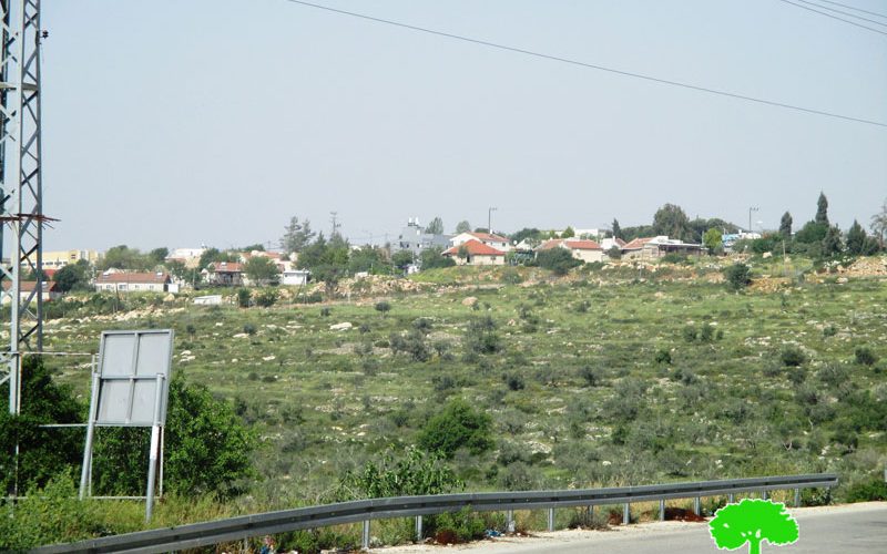 Four dunums of land seized and cultivated by the settlers in the town of Kafr ad-Dik, Salfit Governorate