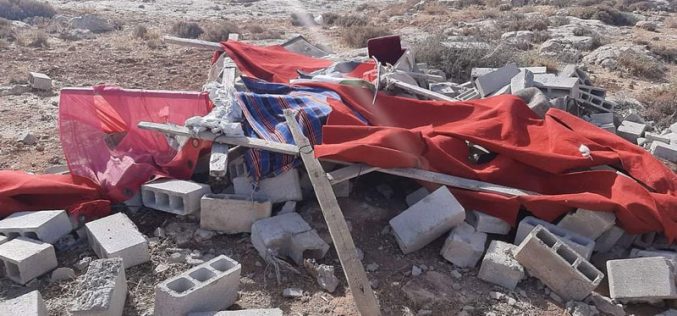 Settlers demolish an agricultural service room and three tents in “Khallet Al-Adra”, east of Yatta, Hebron Governorate