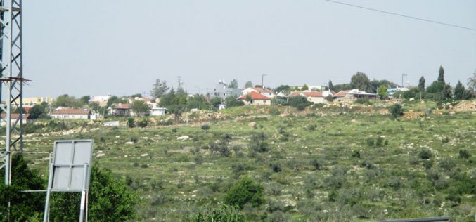 Four dunums of land seized and cultivated by the settlers in the town of Kafr ad-Dik, Salfit Governorate