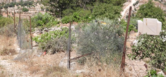 الاحتلال يهدم ويدمر غرف زراعية في بلدة نحالين / بمحافظة بيت لحم