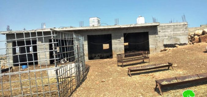 إخطار بوقف العمل في منشأة زراعية بقرية البويب شرق يطا بمحافظة الخليل