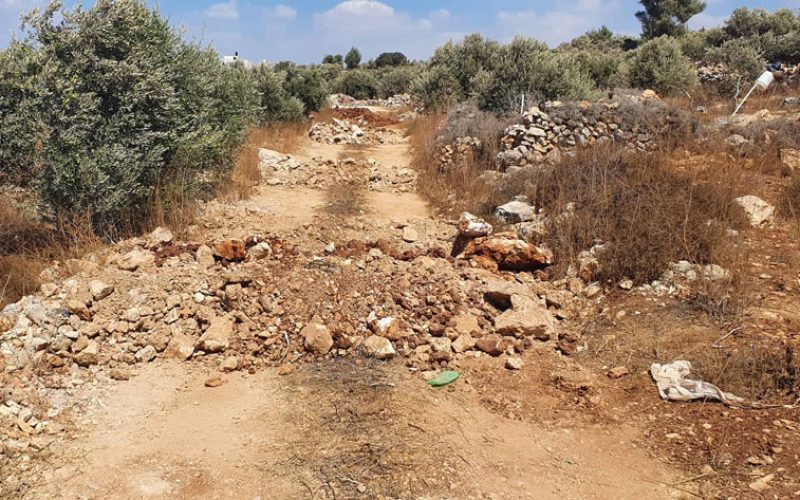 Demolition of Two Agricultural Roads and a Road in Rujeib village / Nablus Governorate