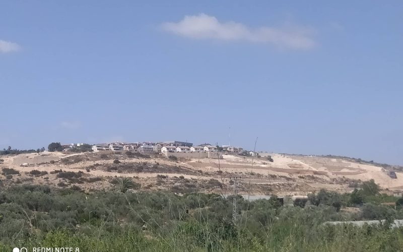 The expansion of “Tzofim” settlements on land of Jayyous Town / Qalqilya governorate
