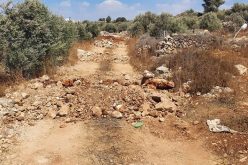 Demolition of Two Agricultural Roads and a Road in Rujeib village / Nablus Governorate