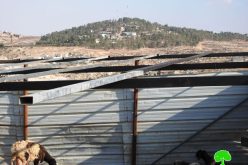الاحتلال يوقف العمل في منشأة زراعية ويصادر عدد يدوية في التواني جنوب الخليل