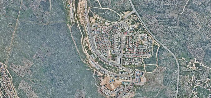Revava colony expands on Haris Village lands / Salfit Governorate