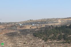 <strong>الاحتلال يهدم ويدمر غرف زراعية في بلدة نحالين بمحافظة بيت لحم</strong>