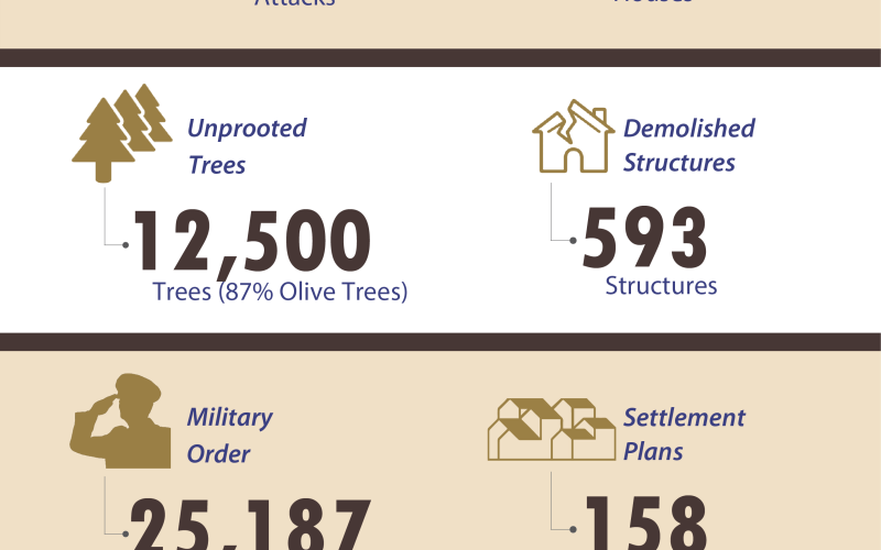 INFOGRAPHIC: A record of Israeli violations of the Human Charter in occupied Palestine