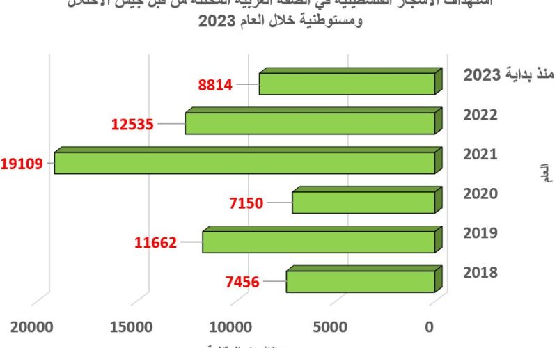 معاناة شجرة الزيتون الفلسطينية بسبب الاحتلال والاستيطان في العام 2023