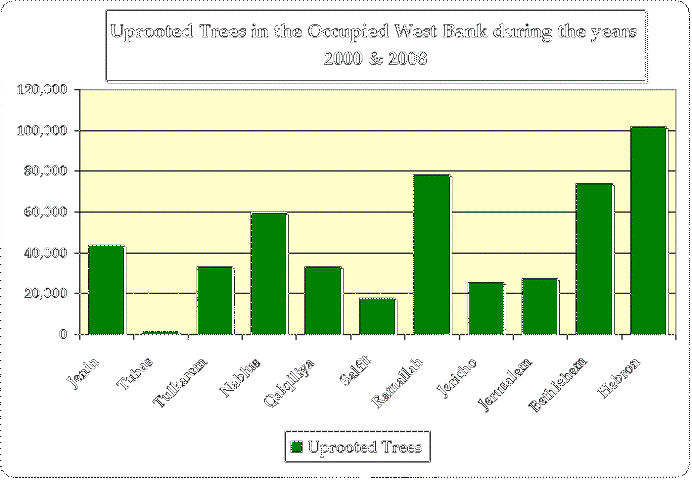 The Palestinian 2008 Olive Harvest Season ” “Another year of confrontations, harassment and Israeli settlers’ violations”